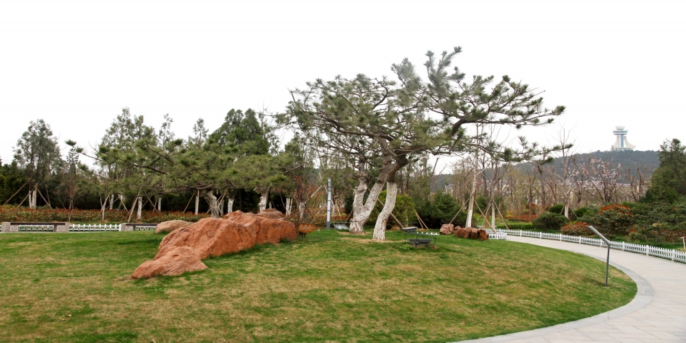 徐州植物園景觀(guān)工程