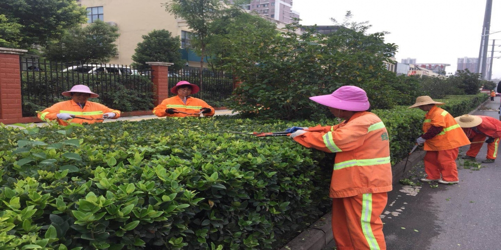 新站區(qū)道路清掃保潔、綠化管養(yǎng)項(xiàng)目