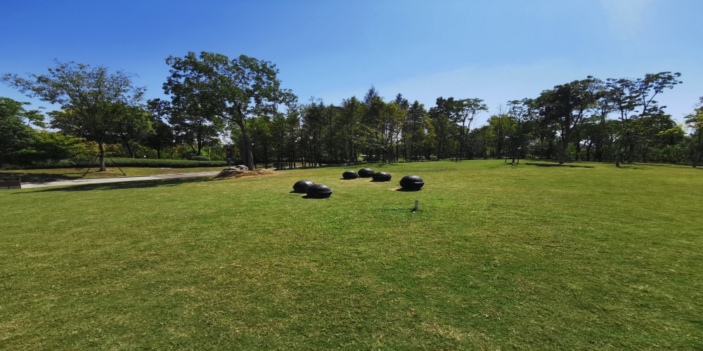 合肥廬陽(yáng)區(qū)廬州公園一期綠化景觀(guān)養(yǎng)護(hù)
