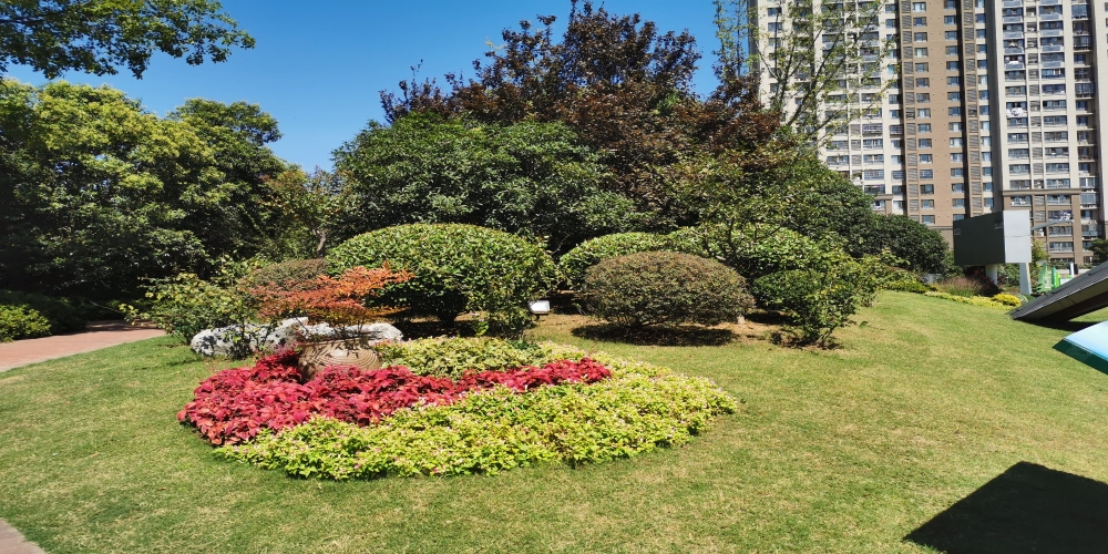 合肥廬陽(yáng)區(qū)廬州公園一期綠化景觀(guān)養(yǎng)護(hù)